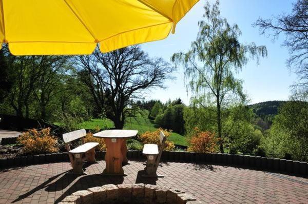 Wohnung In Hohegeiss Mit Grill Und Garten Браунлаге Экстерьер фото